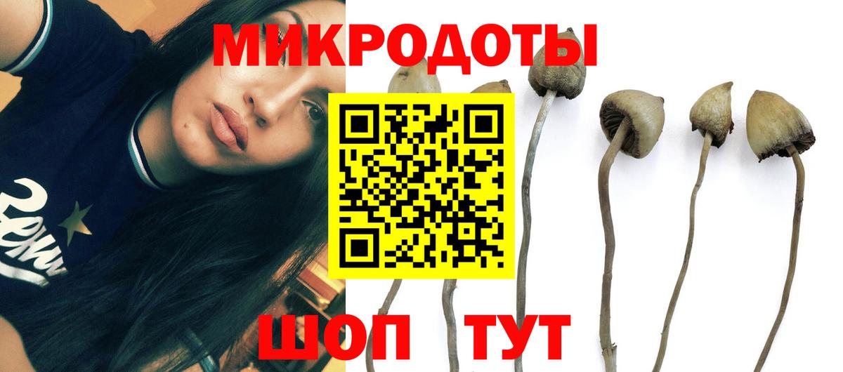 Псилоцибиновые грибы ЛСД Всеволожск